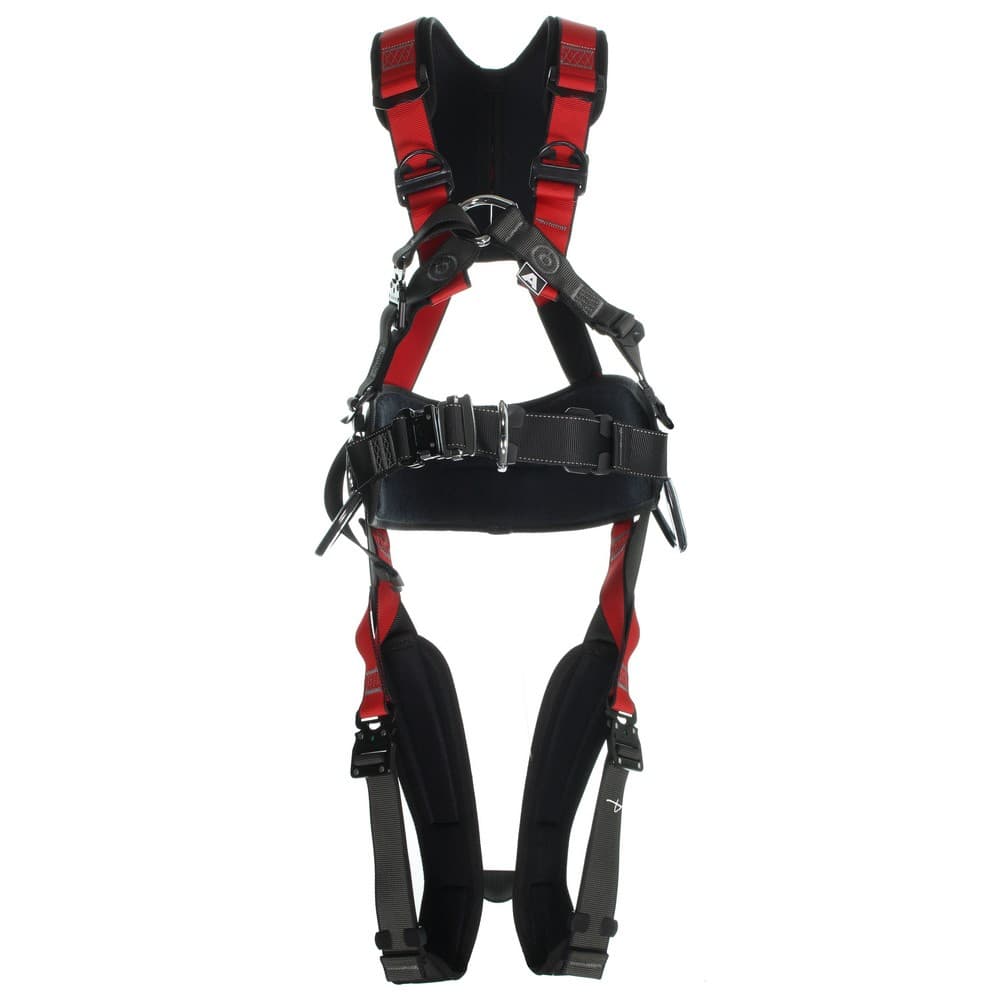 Edge Dynamic Montreal Harnas
